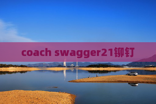 coach swagger21铆钉